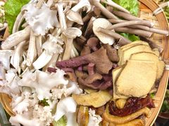 -阿山卓·野生菌火锅·纳西火塘烤肉