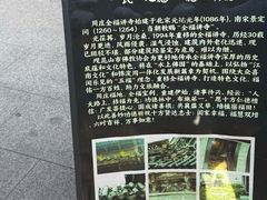 -亭林园-华藏寺