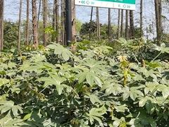 -杭州西湖柳莺里酒店