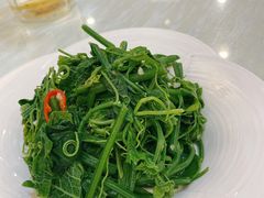 爽口丝瓜尖-烤肉季饭庄