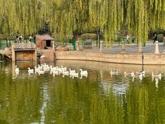 -长安大学(北校区)