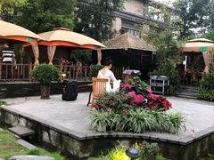 -二荆条·蜀鲜汇城市森林火锅