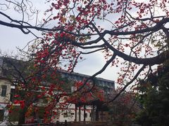 -黄埔古港