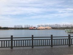 -上海长兴岛郊野公园