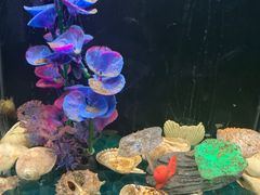 -洛阳龙门海洋馆