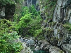 -石台牯牛降景区