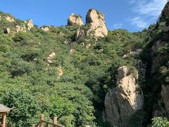 -大岭沟猕猴桃谷风景区