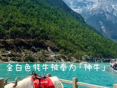 -玉龙雪山蓝月谷