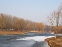 -东郊湿地公园