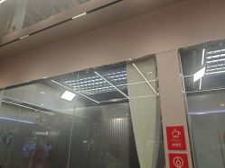 -跳动全城舞蹈