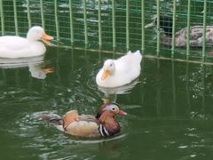 -瑞博尔花园酒店(太周创新产业园店)