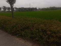 -嘉北郊野公园北游客中心-地上停车场