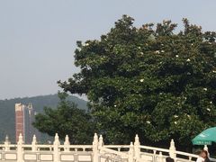 -华西村