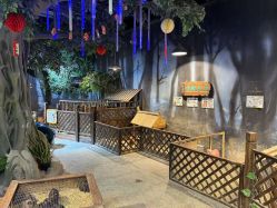 -酷嗒动物文化乐园(cutezoo西溪乐天城店)