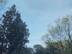 -白塘生态植物园