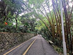 -中山公园(石岐街道)