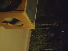 -碧桂园润杨溪谷温泉酒店