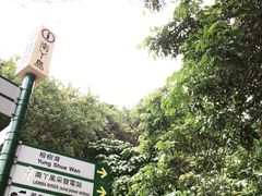 -南丫岛