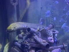 -成都浩海立方海洋公园