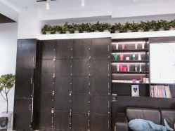 -ASA HAIR SALON
