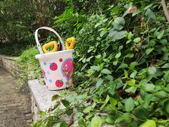 -苏州河梦清园环保主题公园