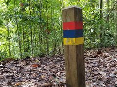 -武吉知马自然保护区