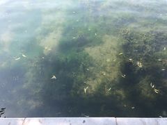-后海公园