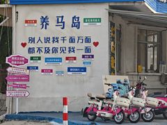 -养马岛旅游度假区