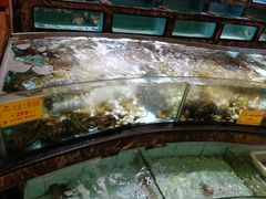 -益健海鲜大食坊(拱北口岸店)