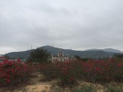 -玫瑰海岸文化旅游度假区