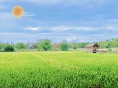 -长兴太湖图影湿地文化园