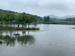 -佛手湖郊野公园