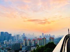 -板樟山森林公园