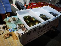 -星光岛