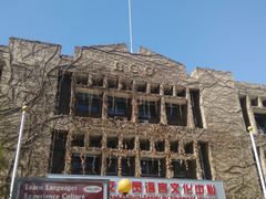 景点-三里屯东五街银杏大道