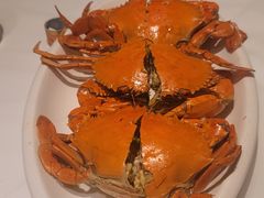 -阳江餐厅·30年老字号·粤菜海鲜大排档