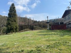 -武陵山森林公园