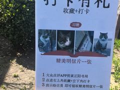 -正阳书局(西四南大街店)