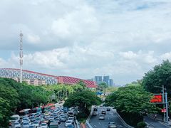 -云溪植物园