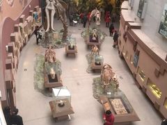 -陕西自然博物馆