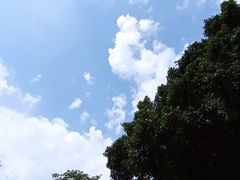 -晓港公园