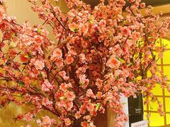 -牛New寿喜烧(青浦店)