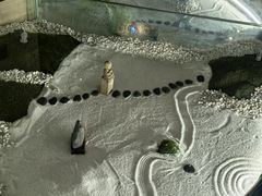 -圣龙馨水匯