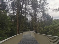 -昆明市金殿名胜区
