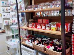 -猫咪博物馆(顶澳仔猫街店)