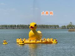 -野鸭湖国家湿地公园