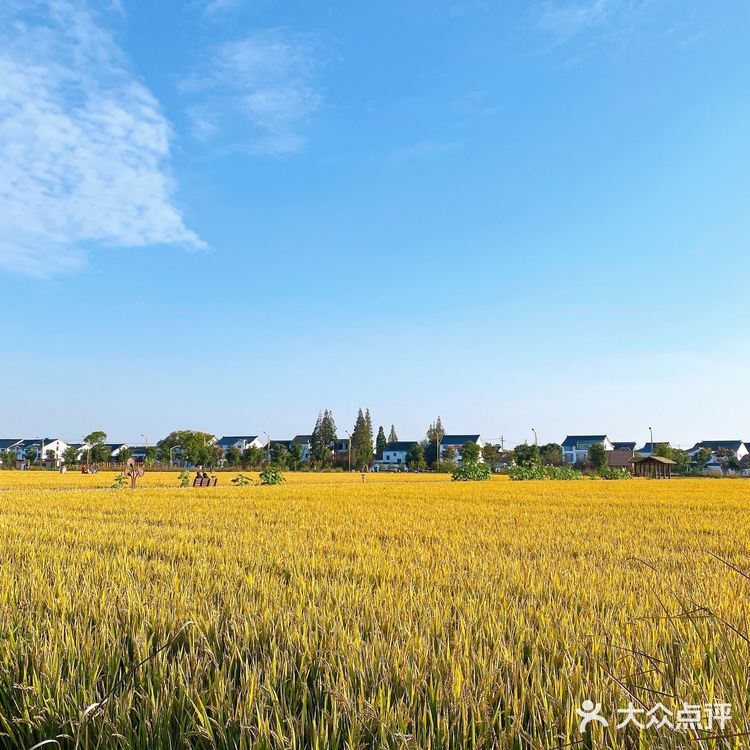 苏州望亭 御亭路98号