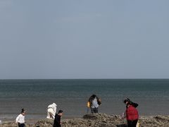 -山东八大碗山东老字号