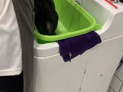 -BABIT巴比特宠物(MOMOPARK店)