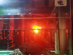 -捞天下大众火锅(水上公园店)